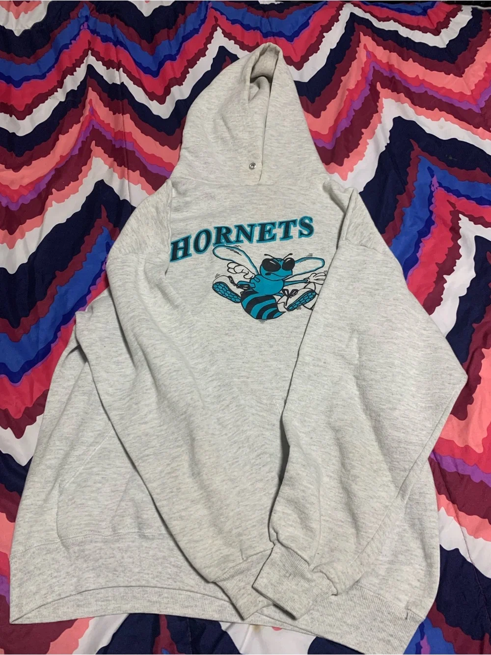 Gray Hornets Vintage Graphic Hoodie with Teal
